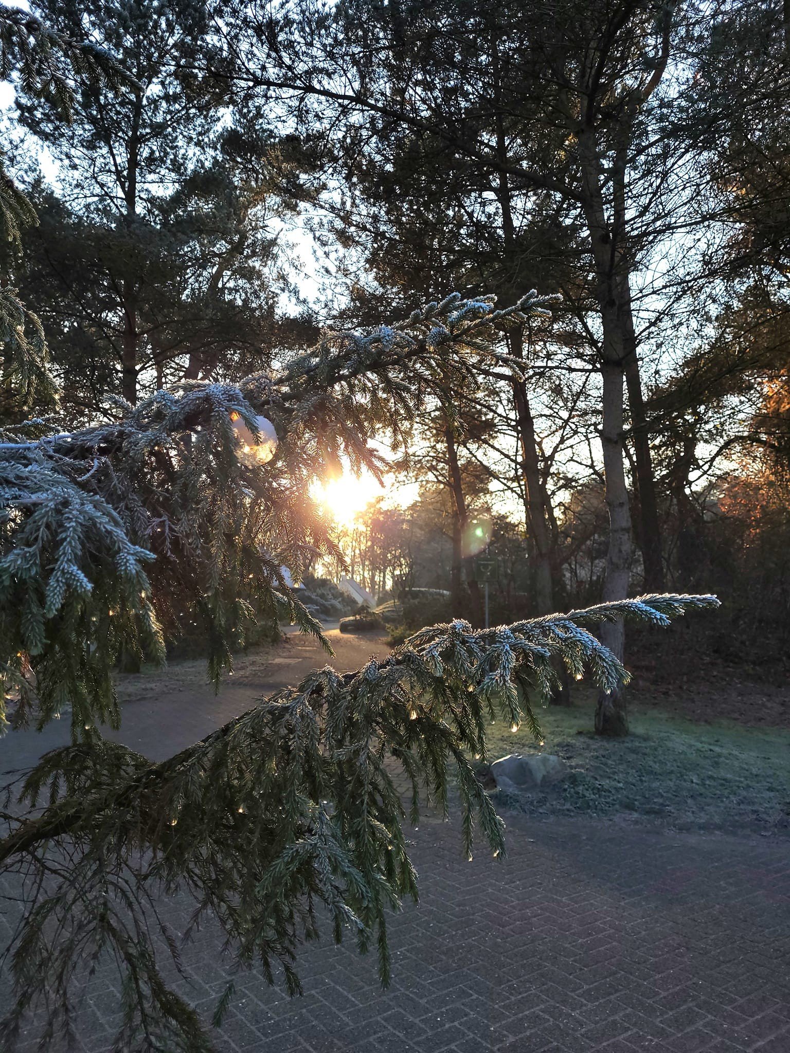 3201535104876596401361112051709371684040164n