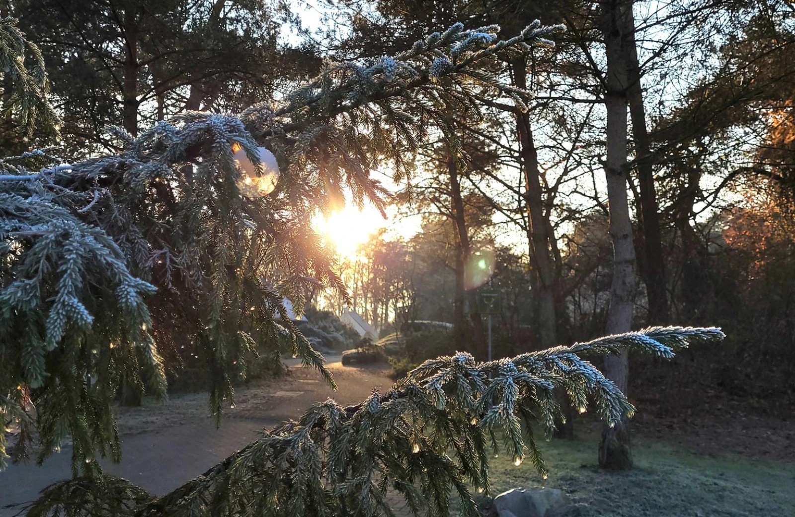 3201535104876596401361112051709371684040164n