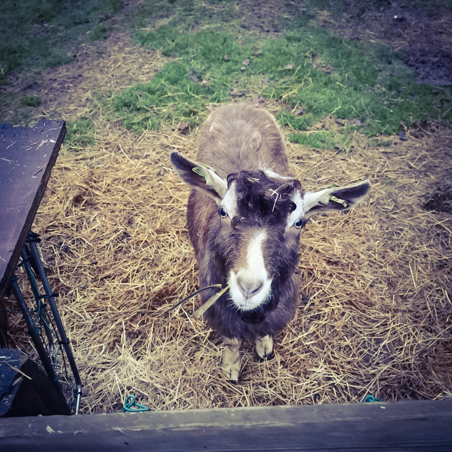 796491492719716881383913743300719716597760o 6177e5b48d1fe