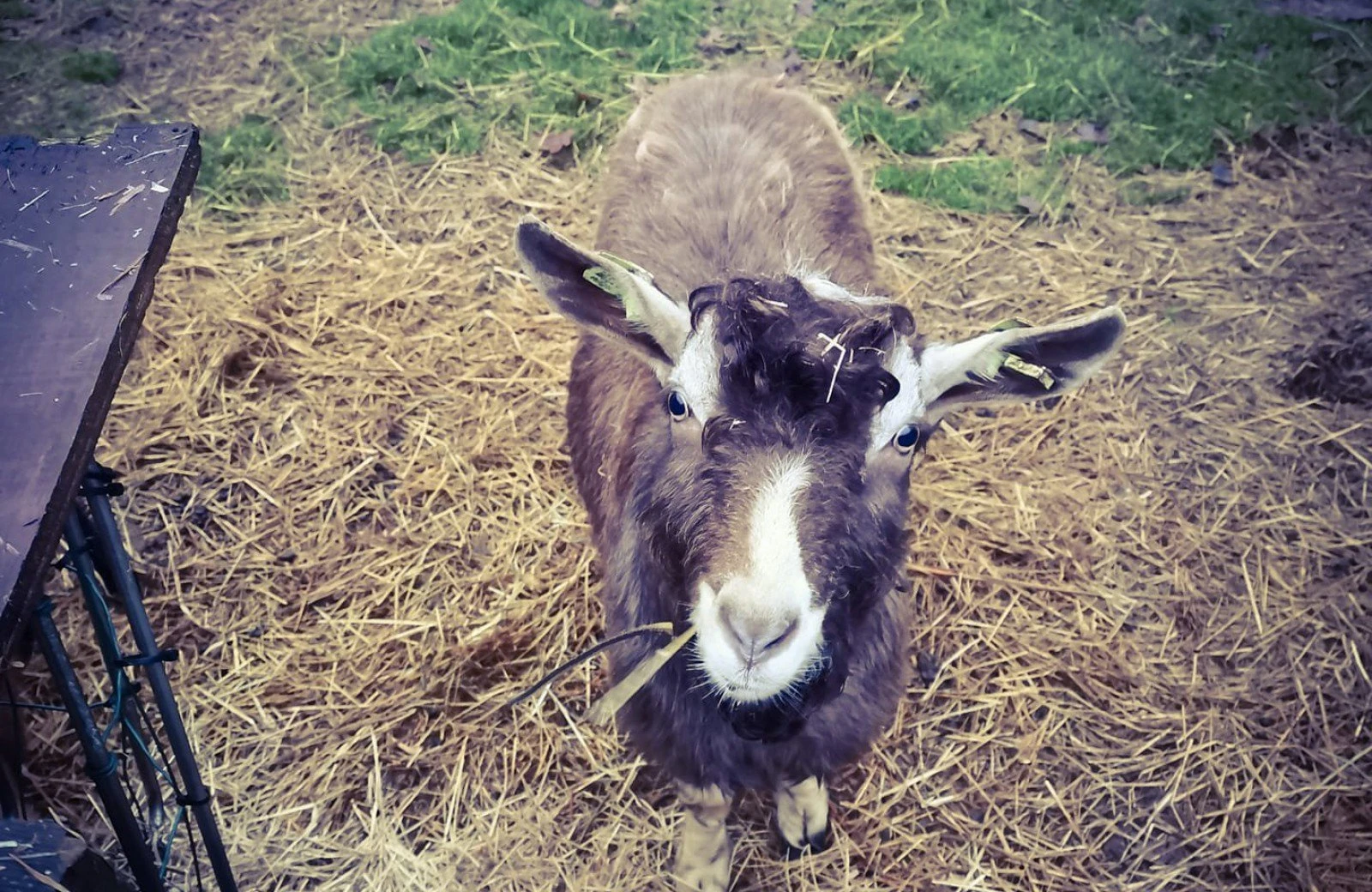 796491492719716881383913743300719716597760o 6177e5b48d1fe