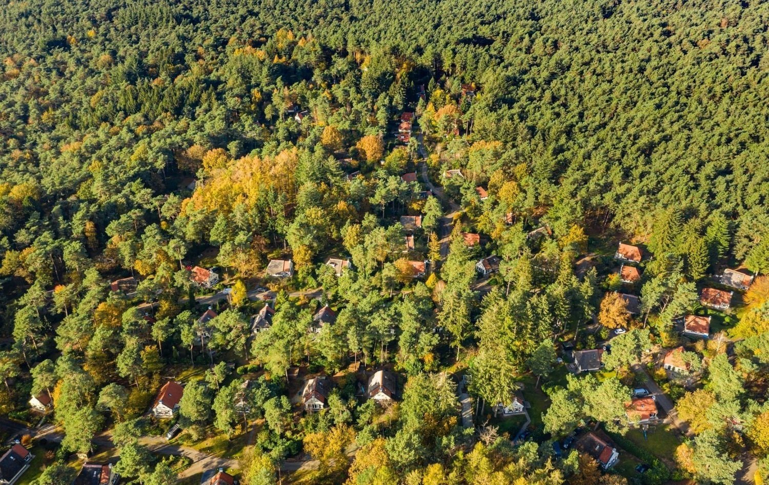 Camping holland grenze ferienpark wildryck