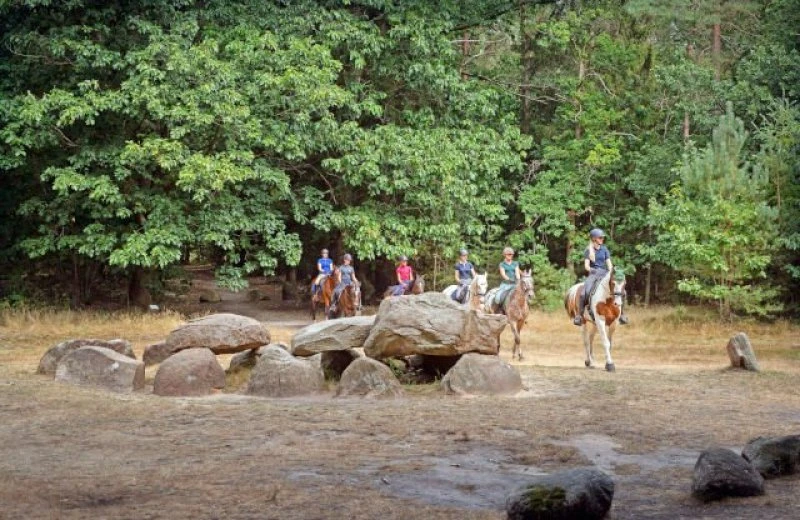 Der Hondsrug UNESCO Global Geopark