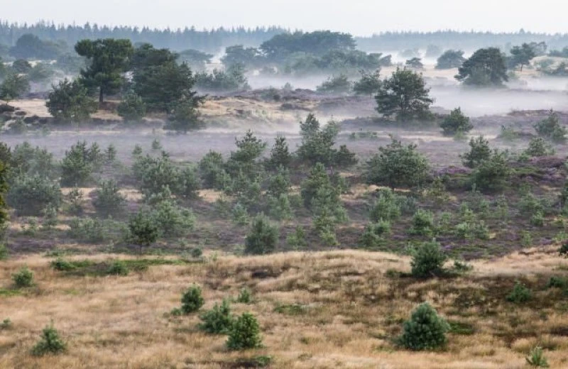 Nationalpark Drents-Friese Wold