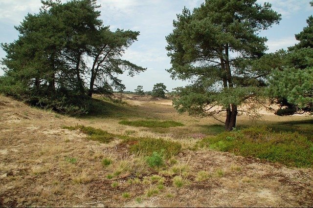 Camping met eigen sanitair bij Drents-Friese Wold