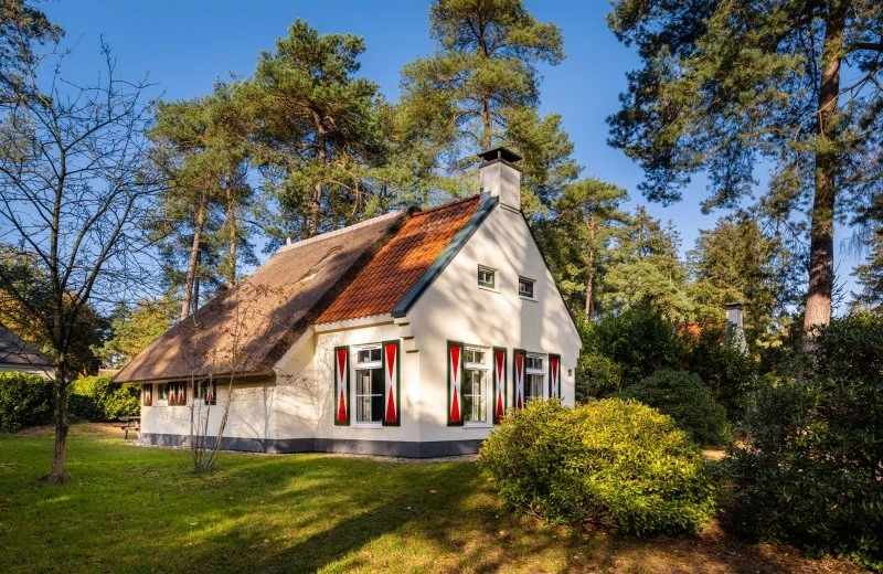 Vrijstaande vakantiehuizen