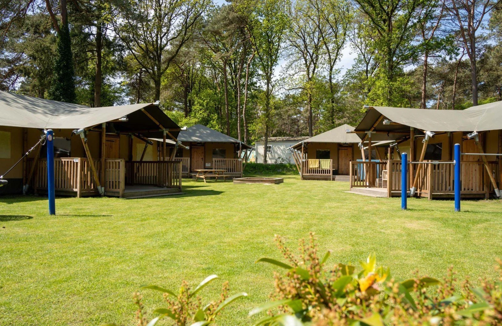 Groepsaccommodatie camping