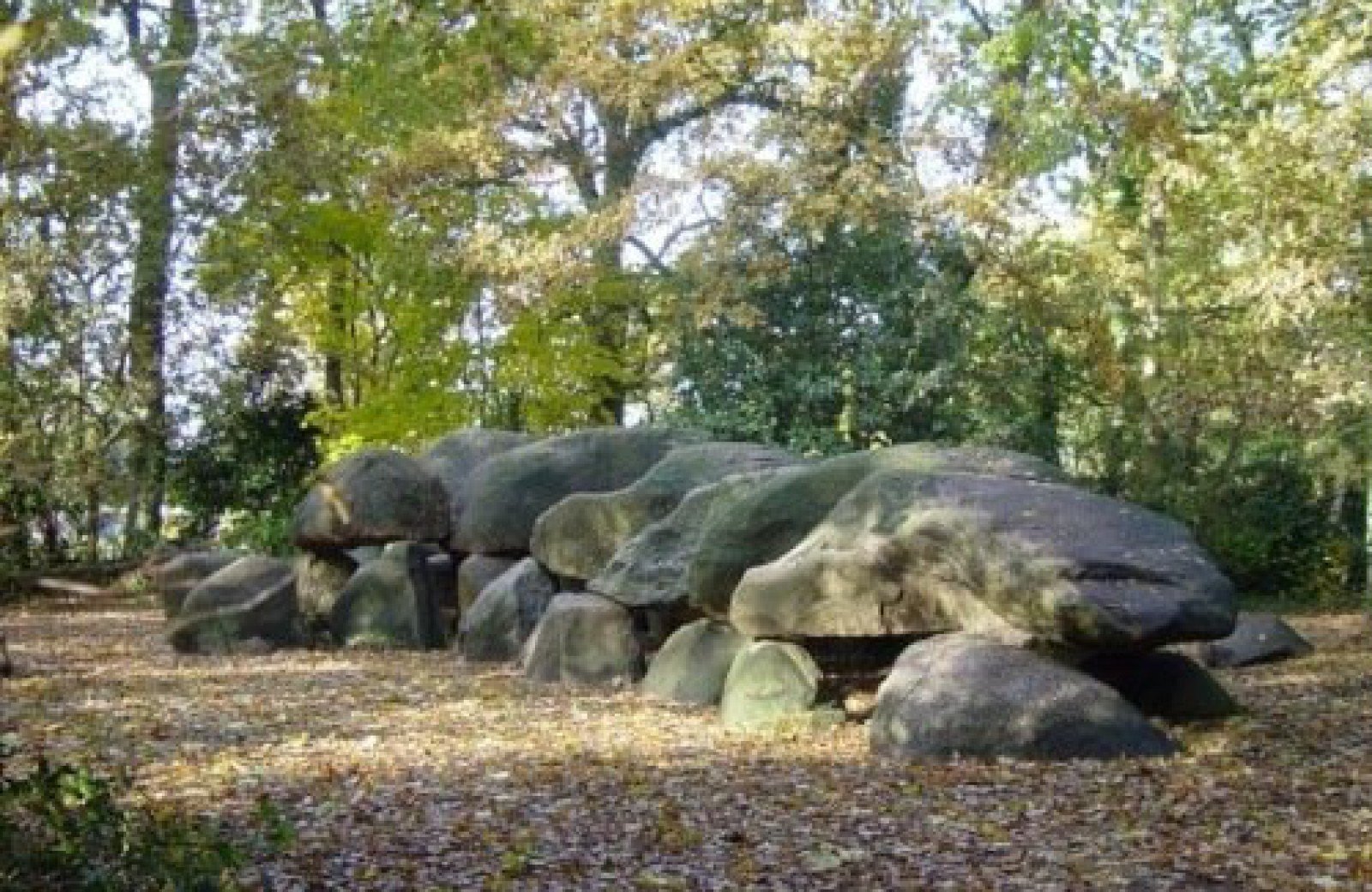 Hunebed Centre Borger