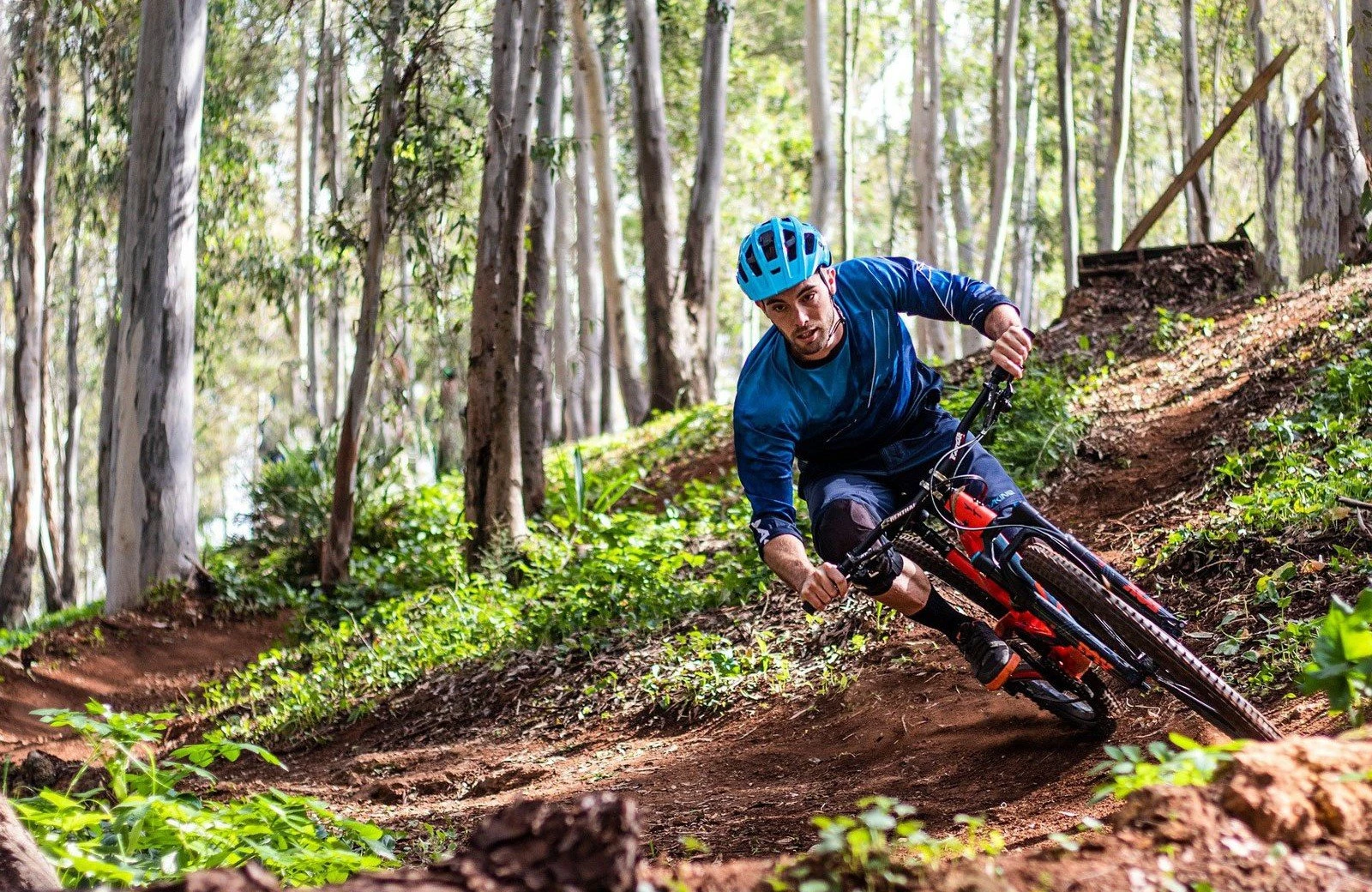 Mountainbike drenthe