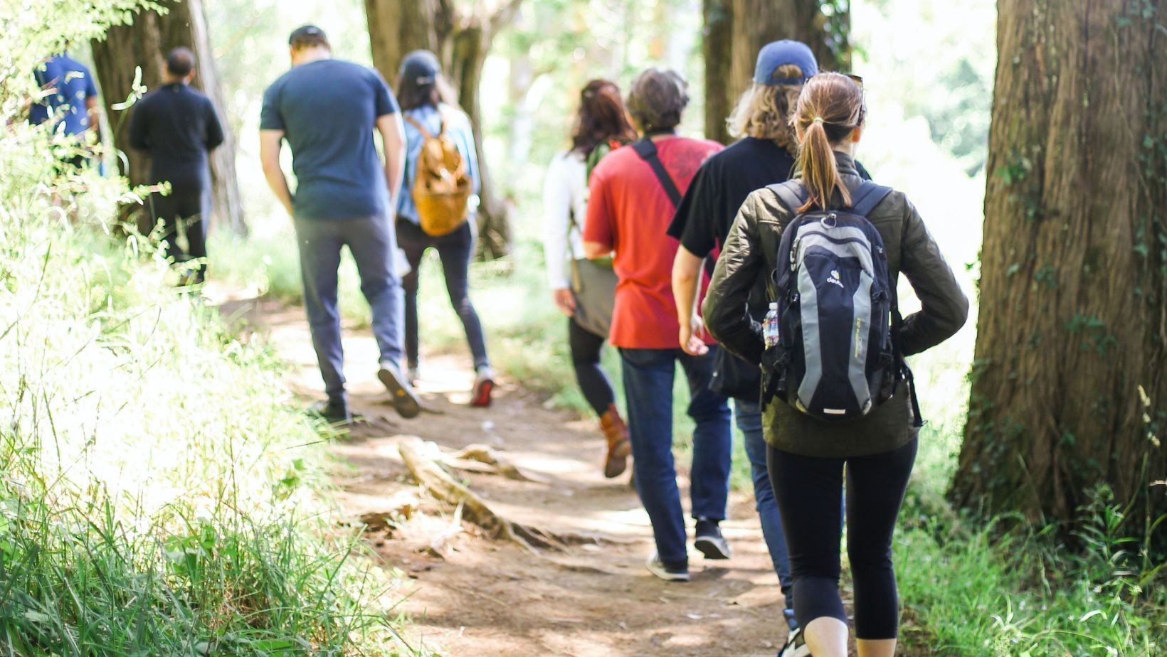 Drenther Viertageswanderung