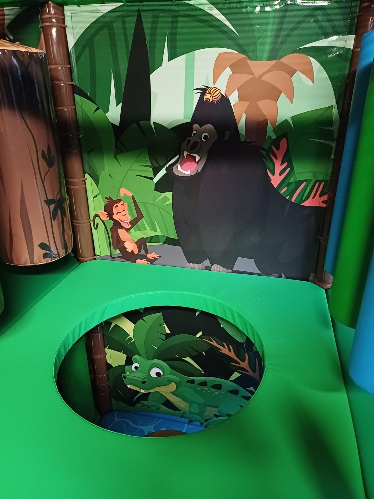 Photo 2024 02 14 11 29 21 00a