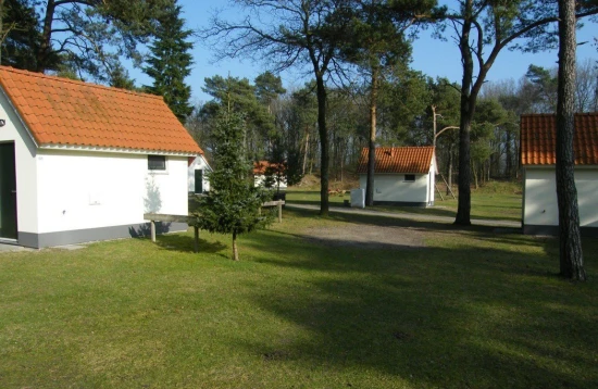 T622257 608956a969394