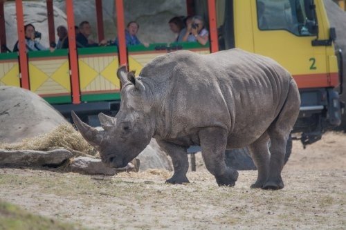 WILDLANDS Adventure Zoo