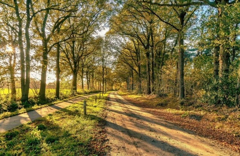 Wandelen in Drenthe tijdens weekend weg