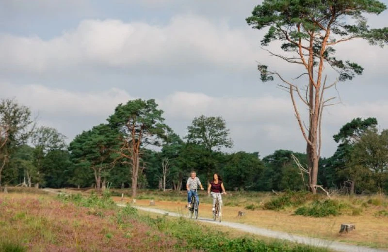 Drentsche Aa Landschaft