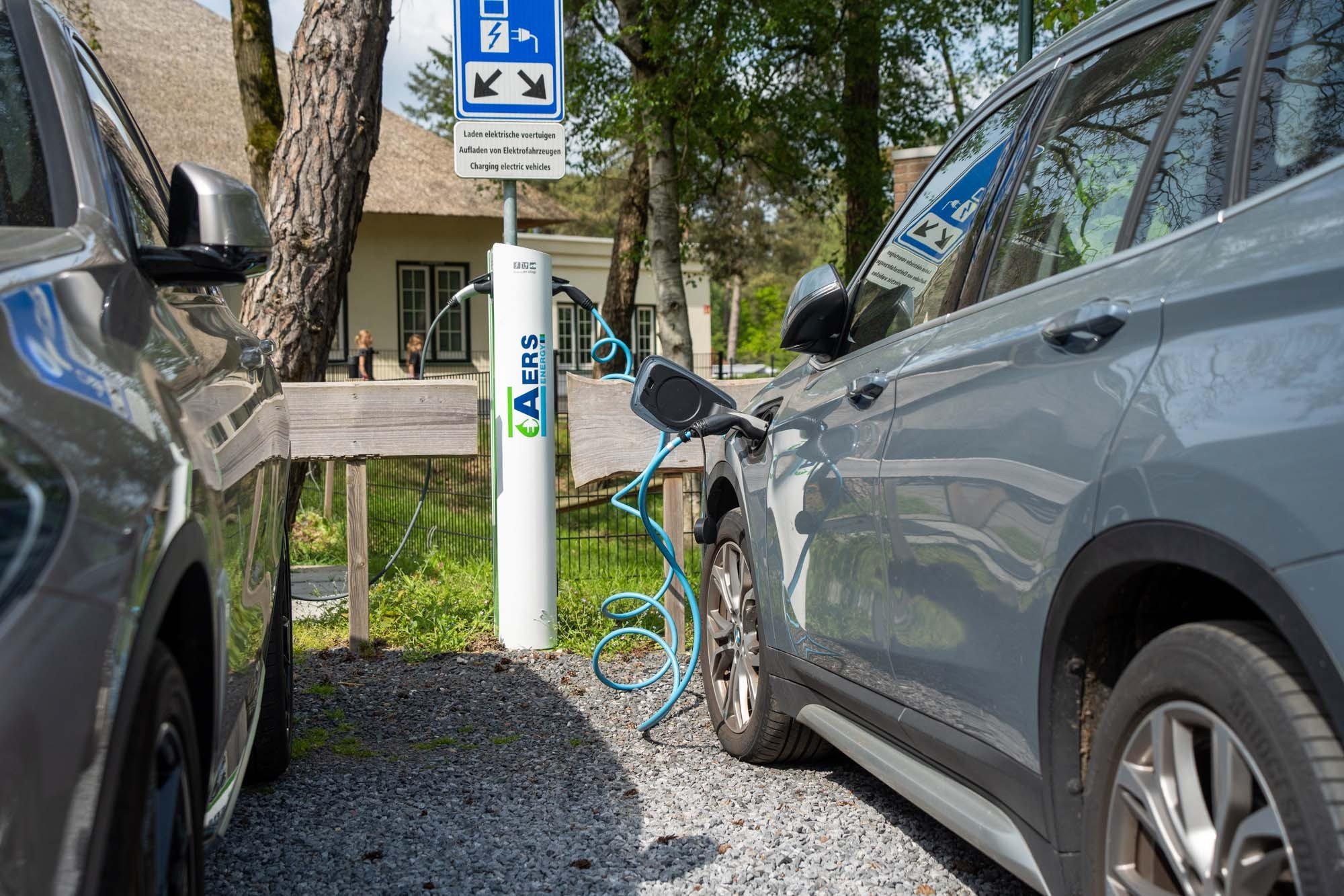 Wildryck prosuco 001