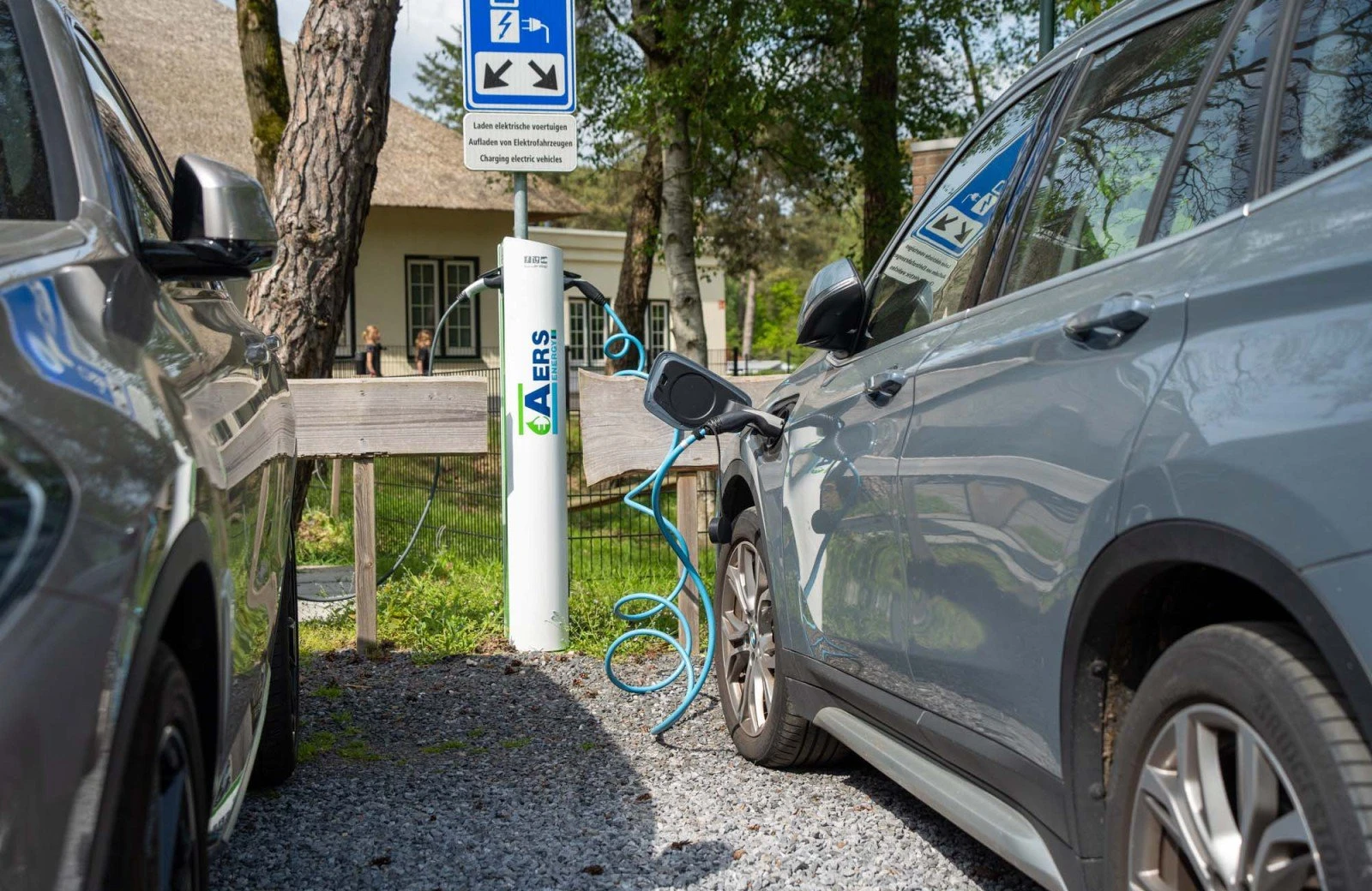 Wildryck prosuco 001