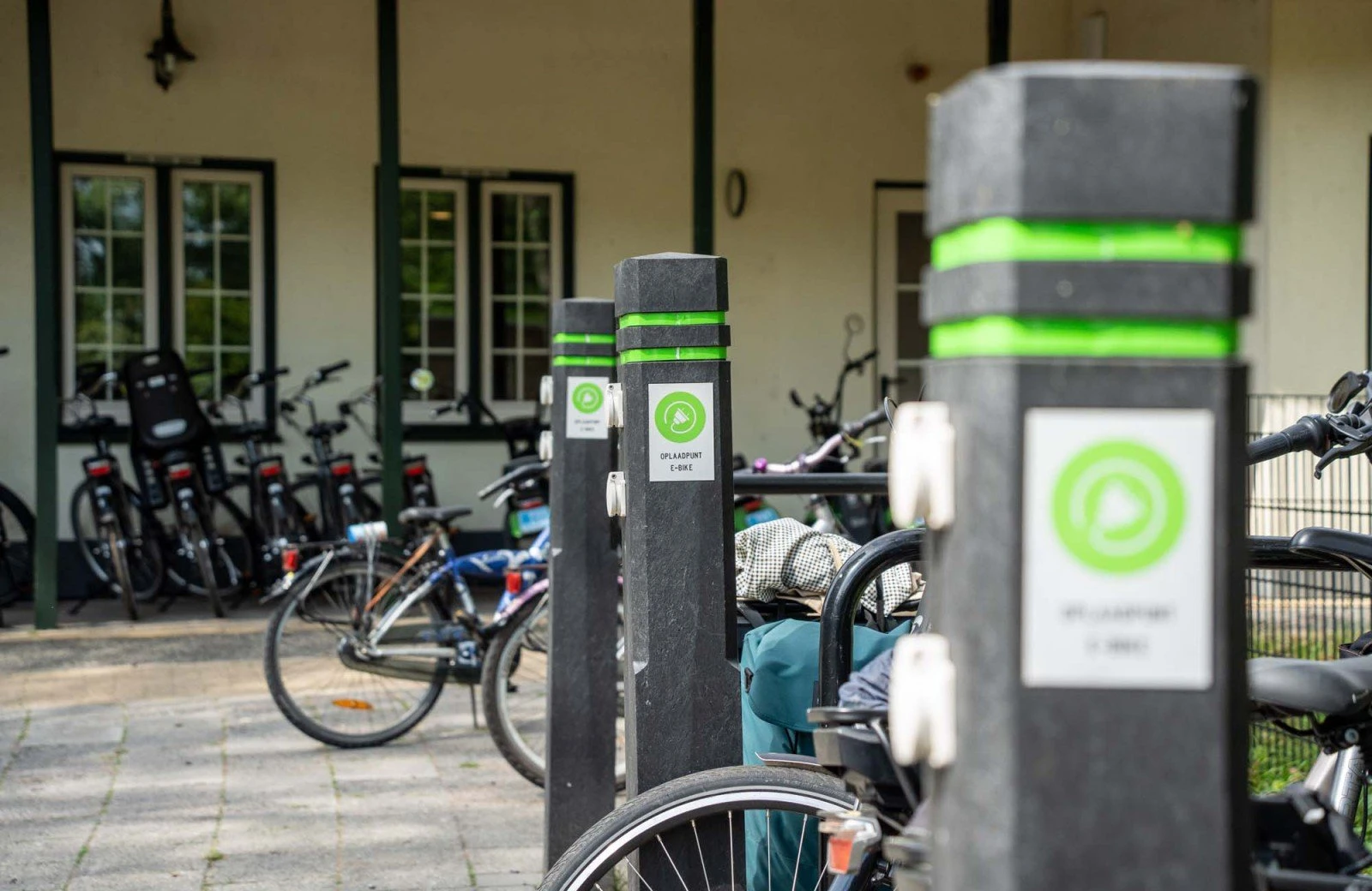 Wildryck prosuco 003