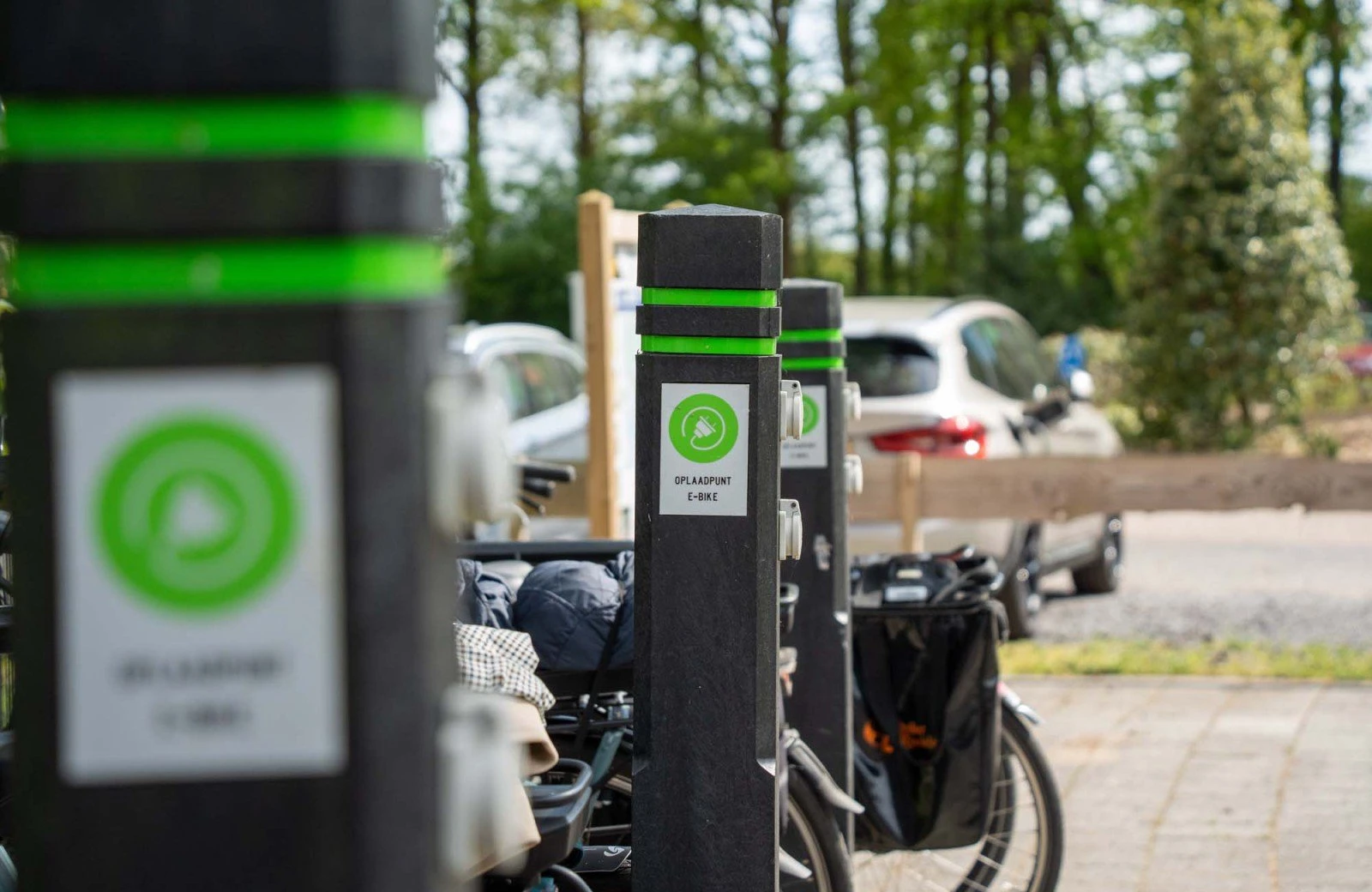 Wildryck prosuco 004