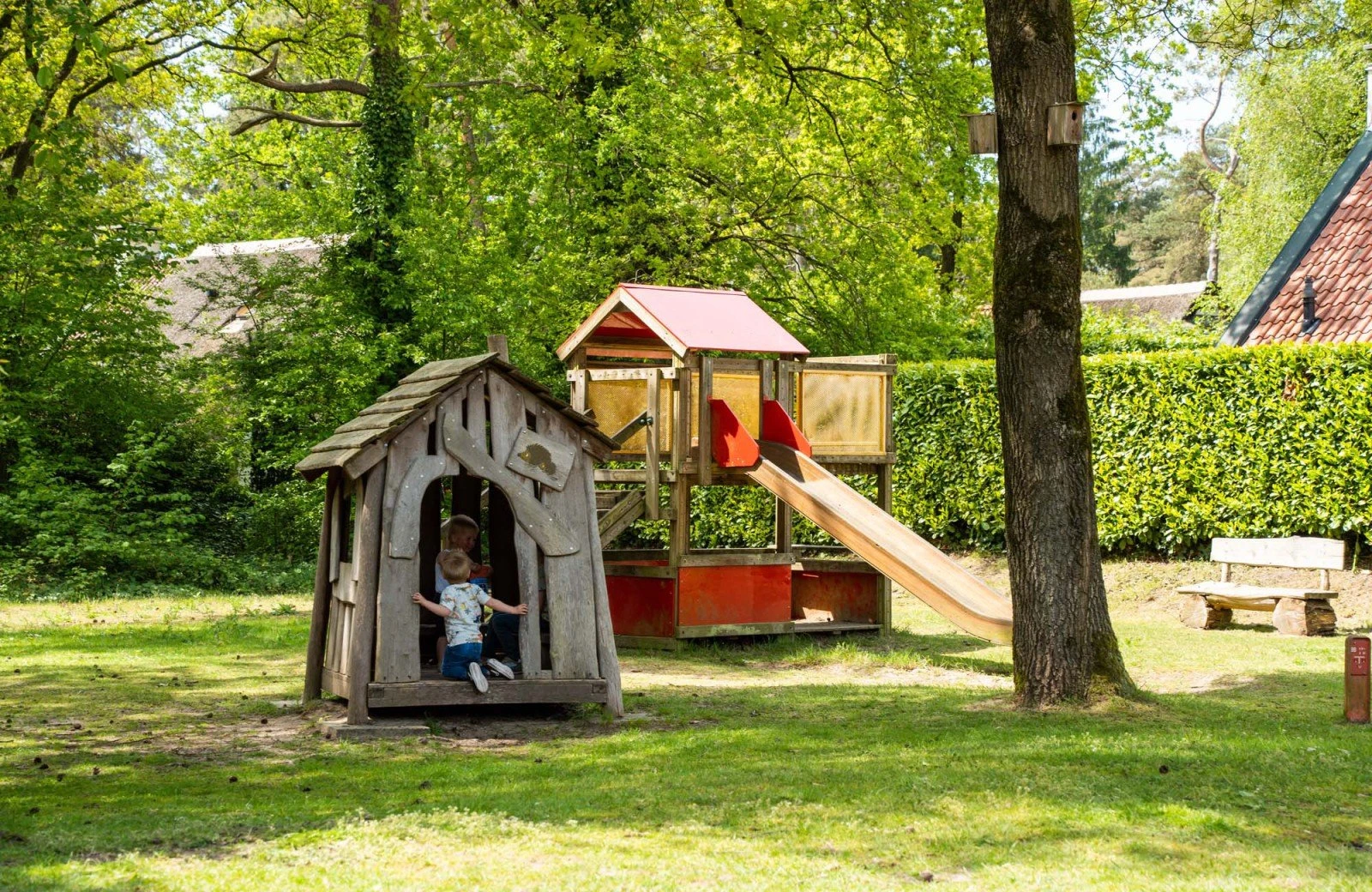 Wildryck prosuco 066