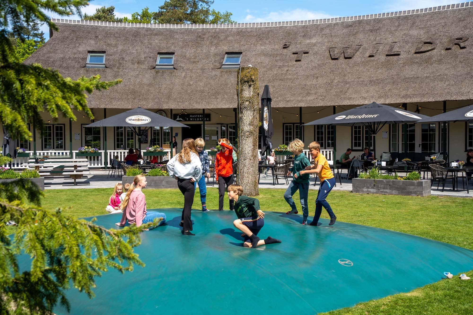 Wildryck prosuco 111