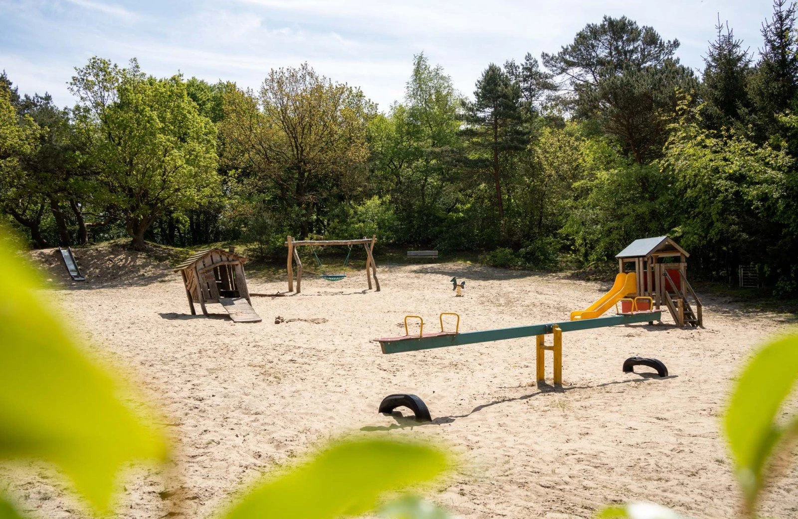 Wildryck prosuco 150