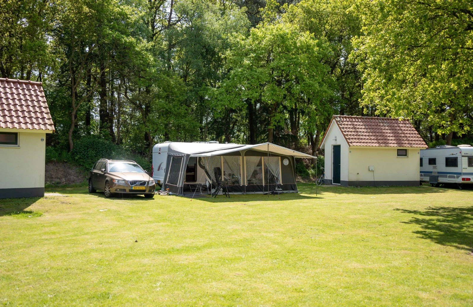 Wildryck prosuco 162