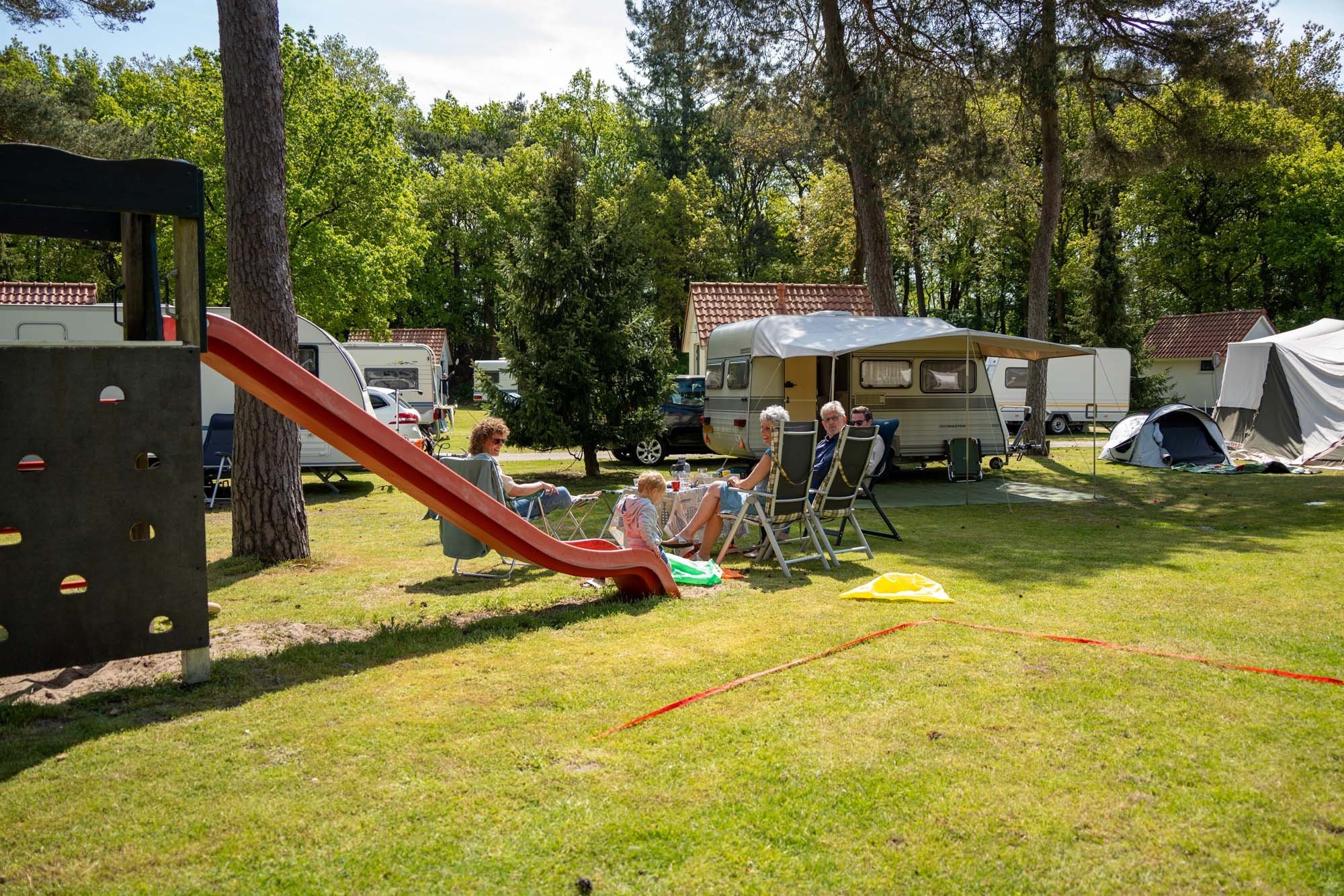 Wildryck prosuco 173 646cd6457383f