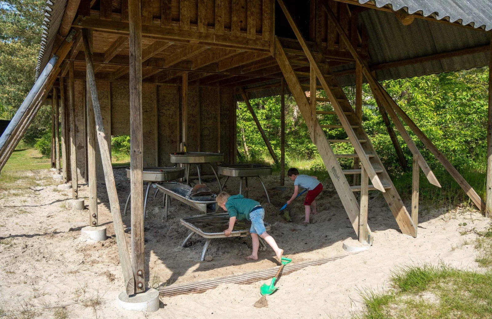 Wildryck prosuco 181