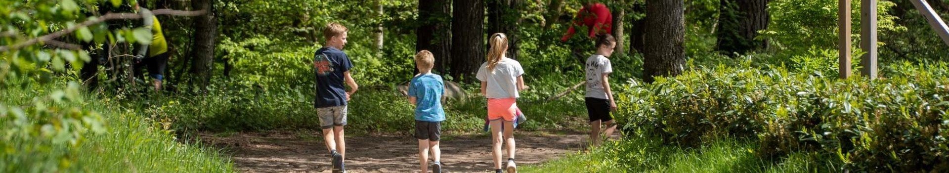 Wildryck spelende kinderen