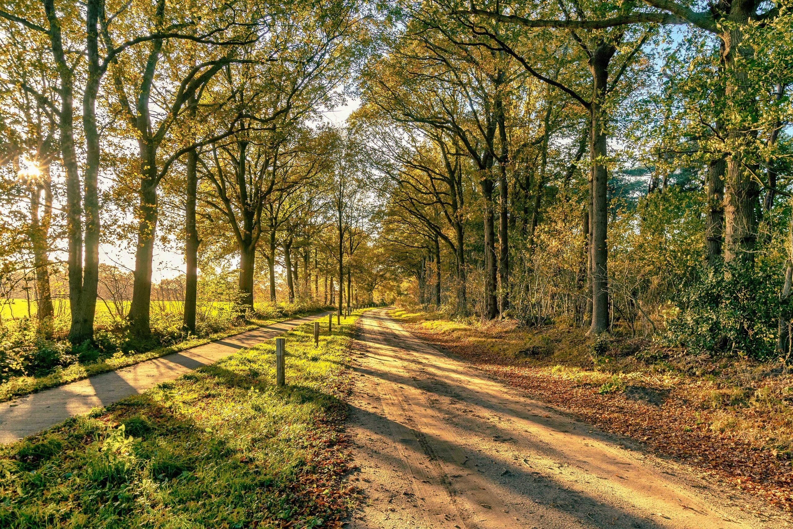8 Tipps für Ihren Herbsturlaub in Drenthe!
